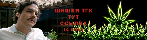тгк Богородск